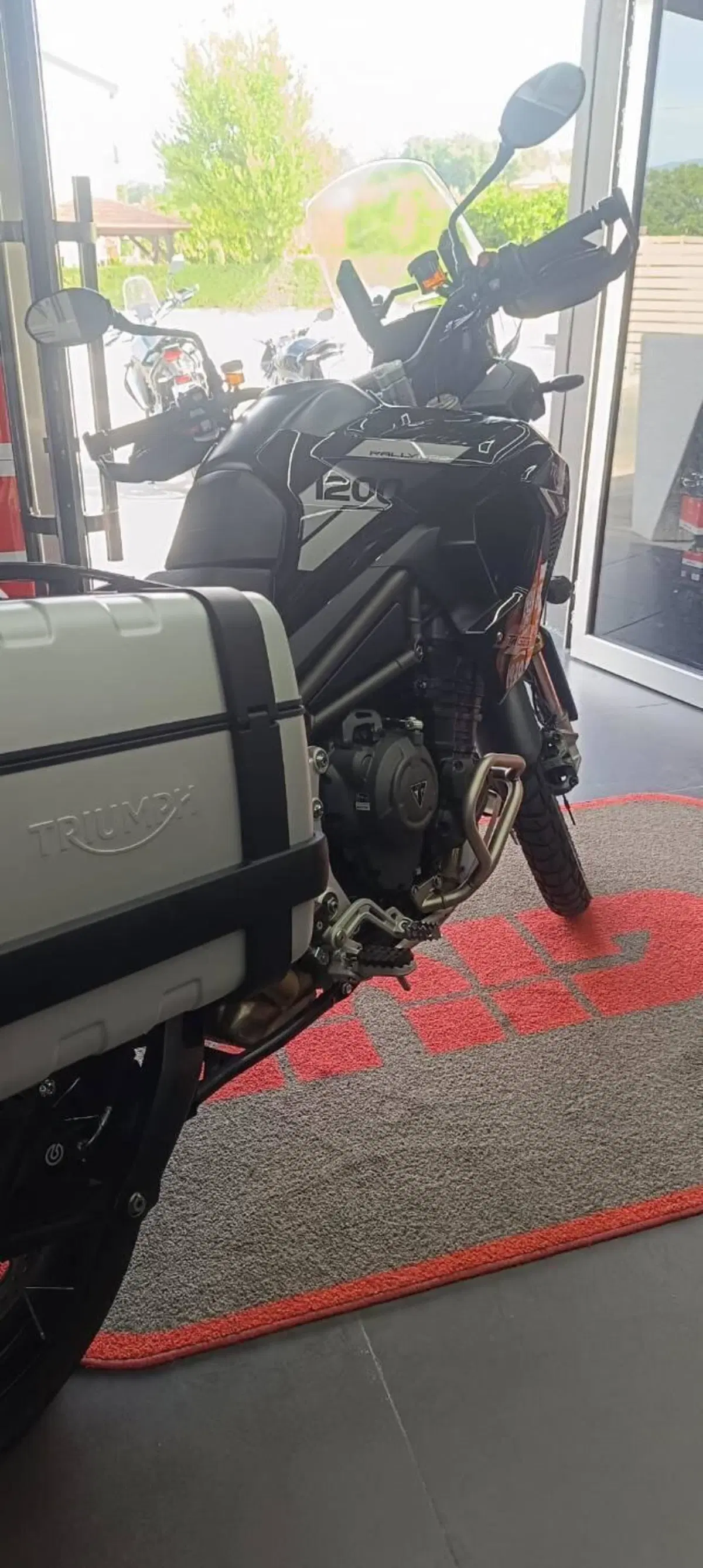 Triumph Tiger 1200 Rally Pro (2022 - 23) (7)