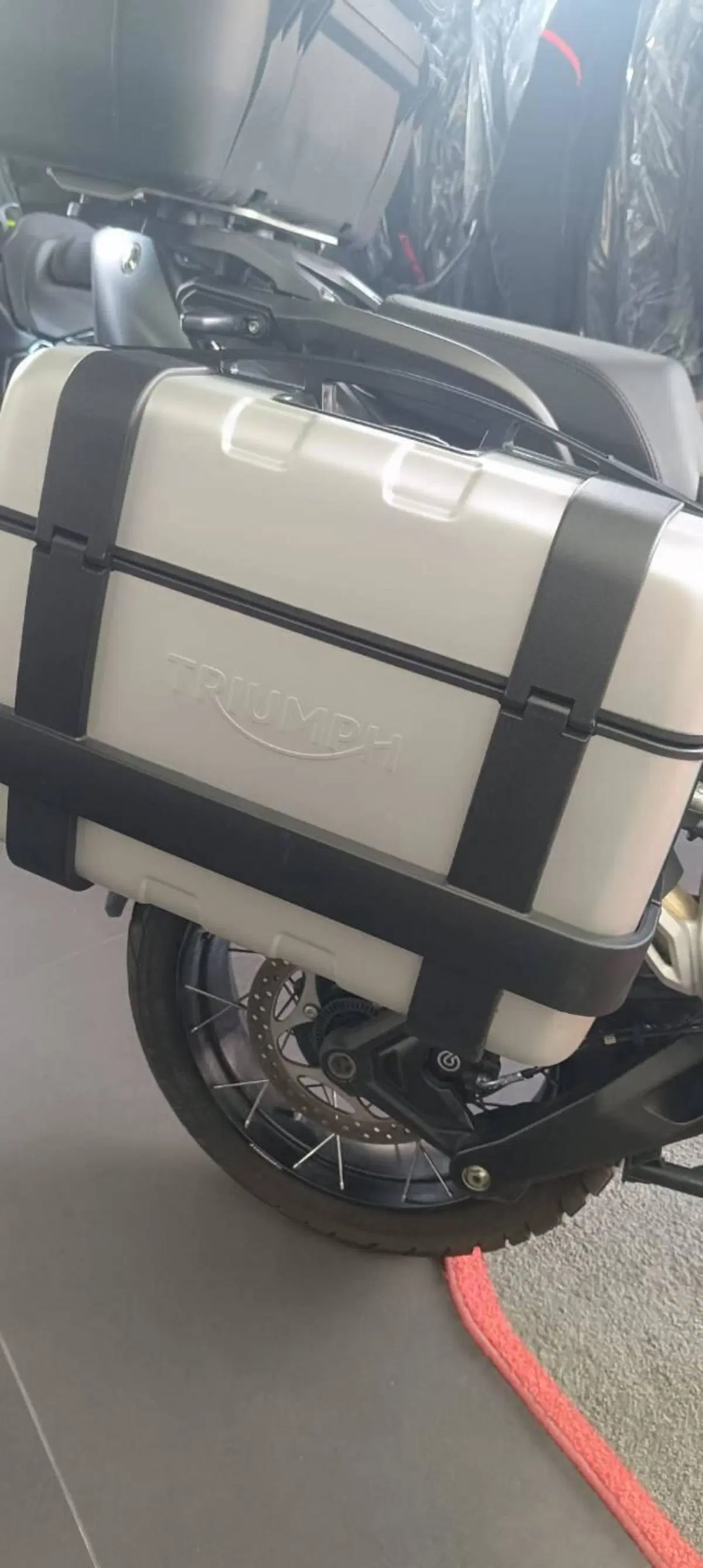 Triumph Tiger 1200 Rally Pro (2022 - 23) (10)
