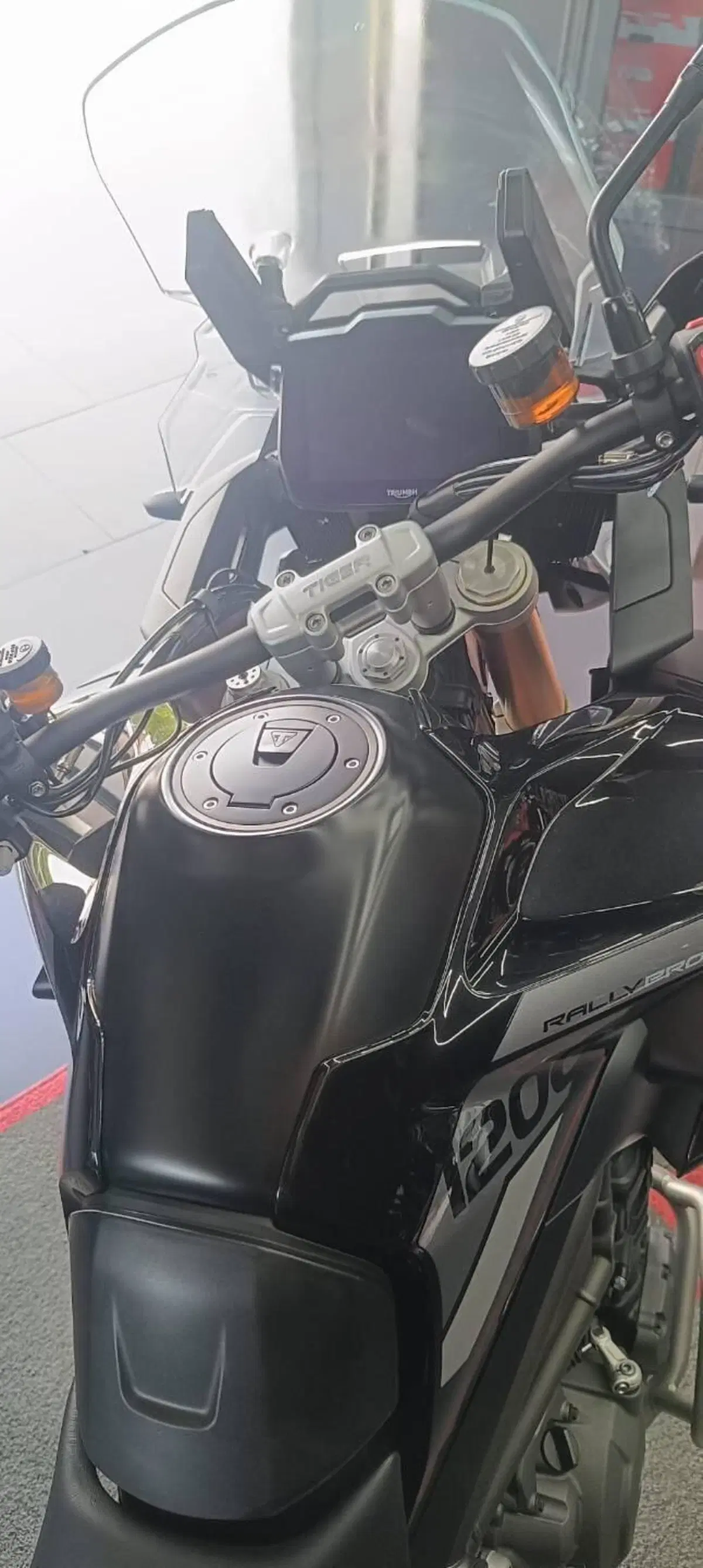 Triumph Tiger 1200 Rally Pro (2022 - 23) (14)
