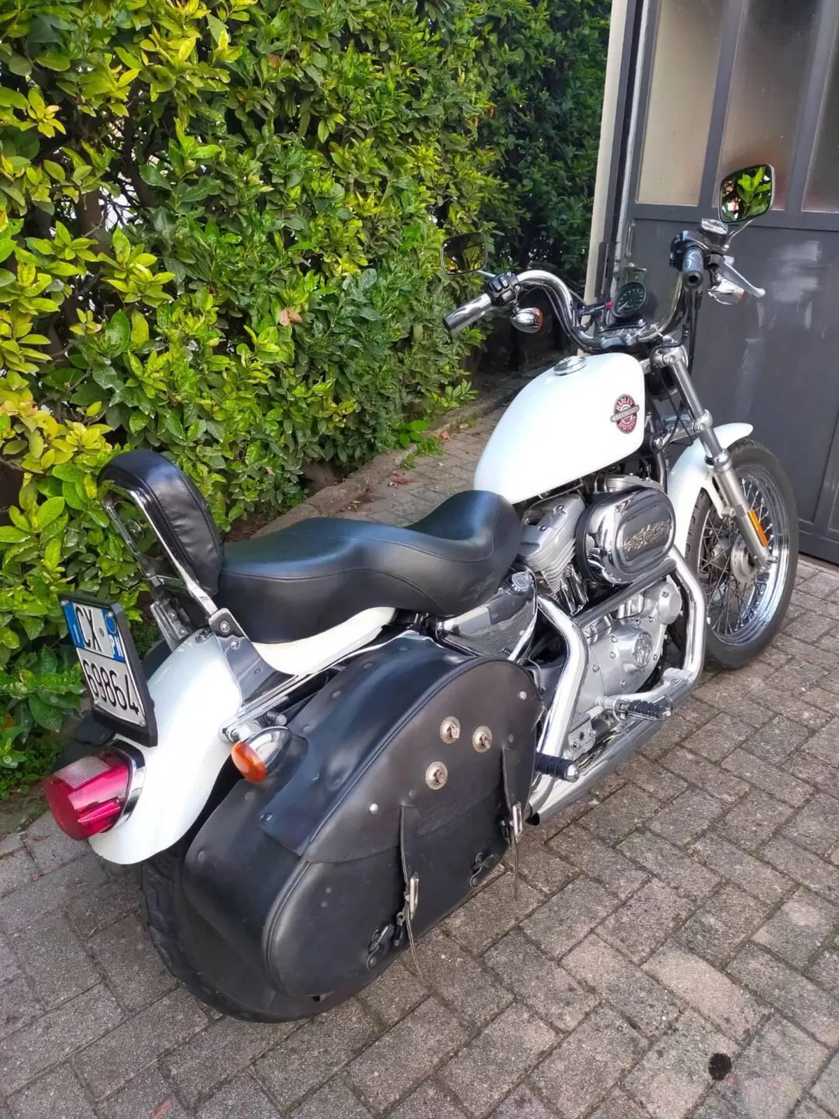 Harley-Davidson 883 Standard (2001 - 05) - XL 883 (2)