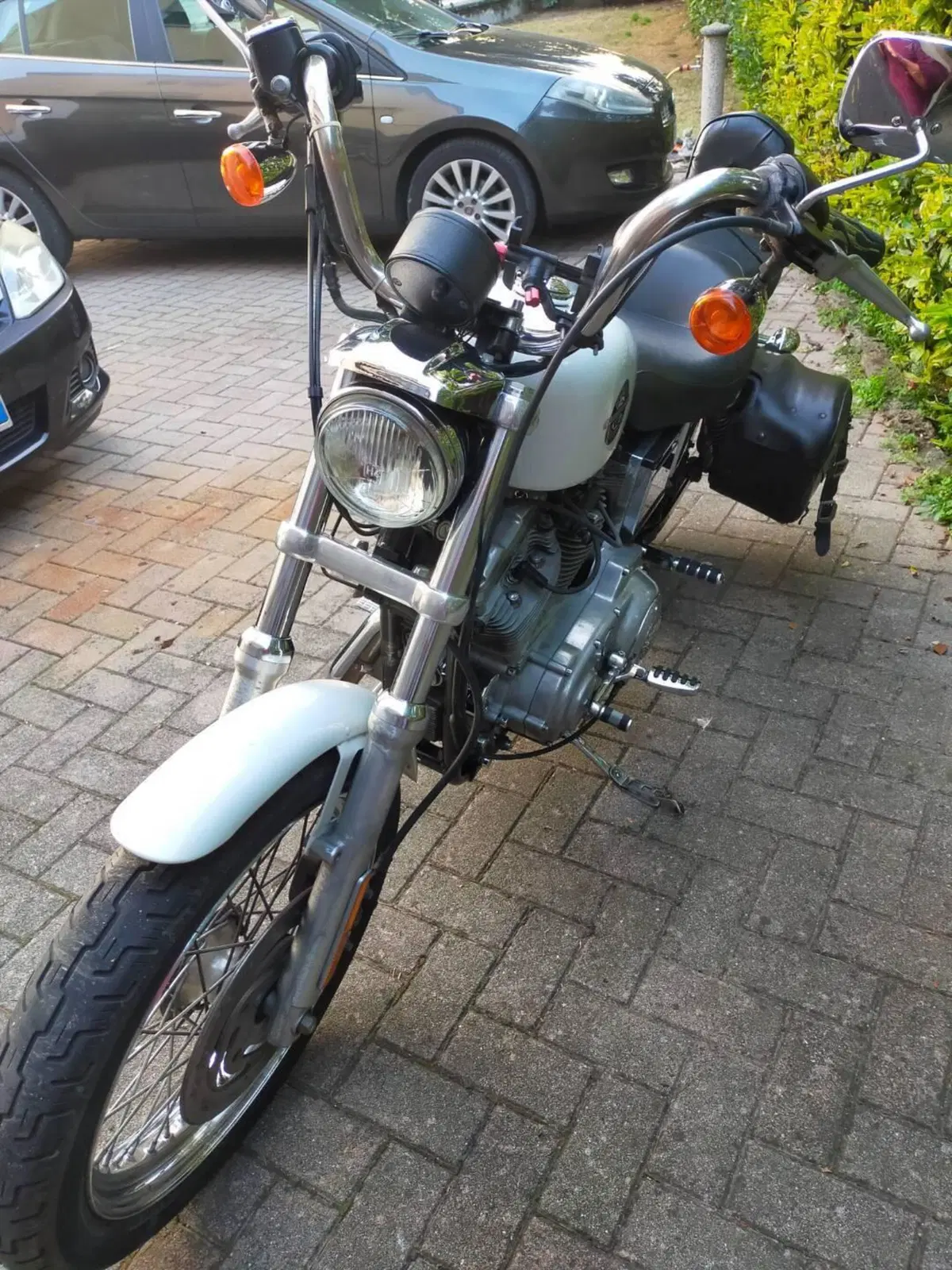 Harley-Davidson 883 Standard (2001 - 05) - XL 883 (3)