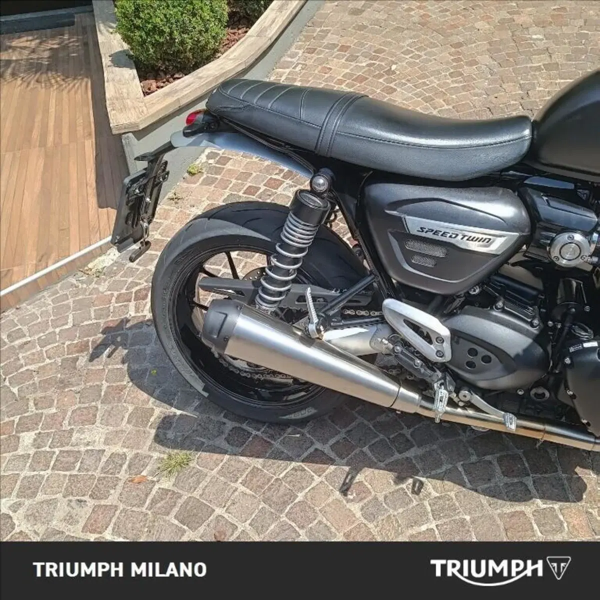 Triumph Speed Twin 1200 (2021 - 24) (2)