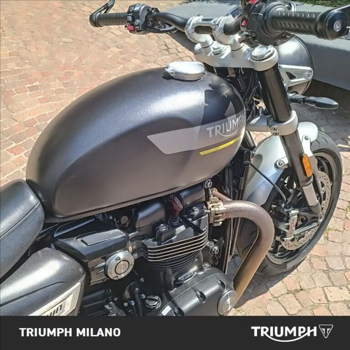 Triumph Speed Twin 1200 (2021 - 24) (4)