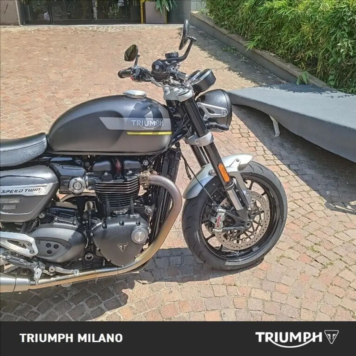 Triumph Speed Twin 1200 (2021 - 24) (3)