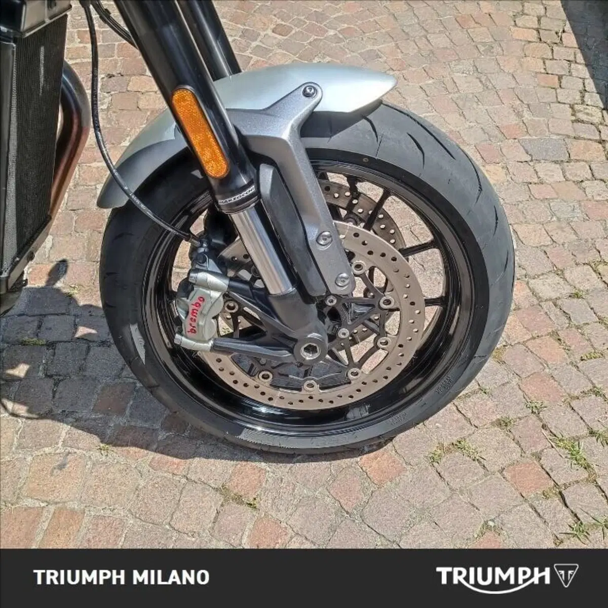 Triumph Speed Twin 1200 (2021 - 24) (5)