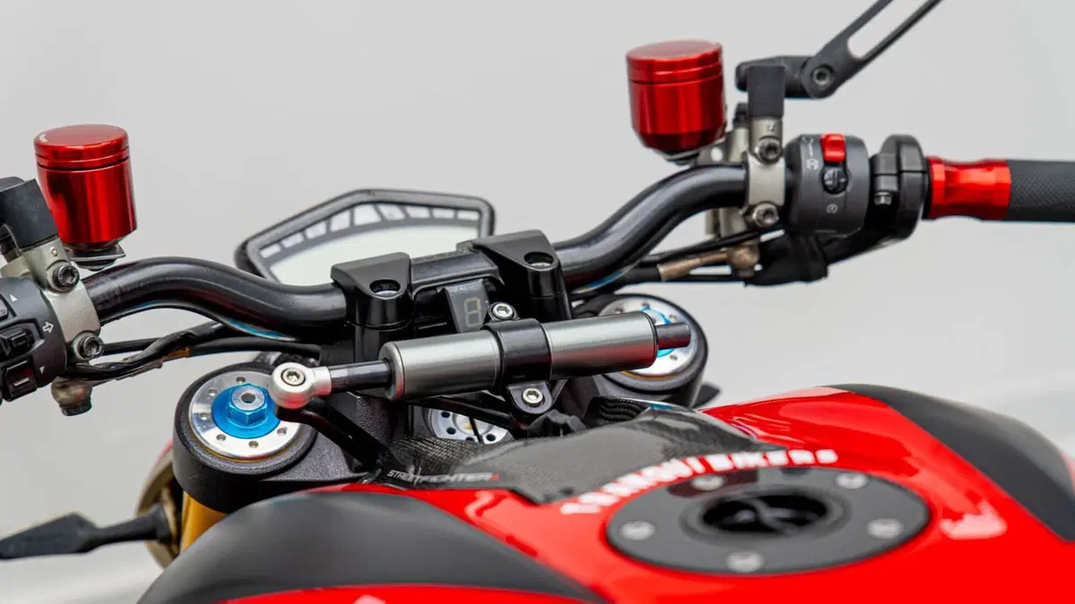Ducati Streetfighter (2009 - 12) (17)
