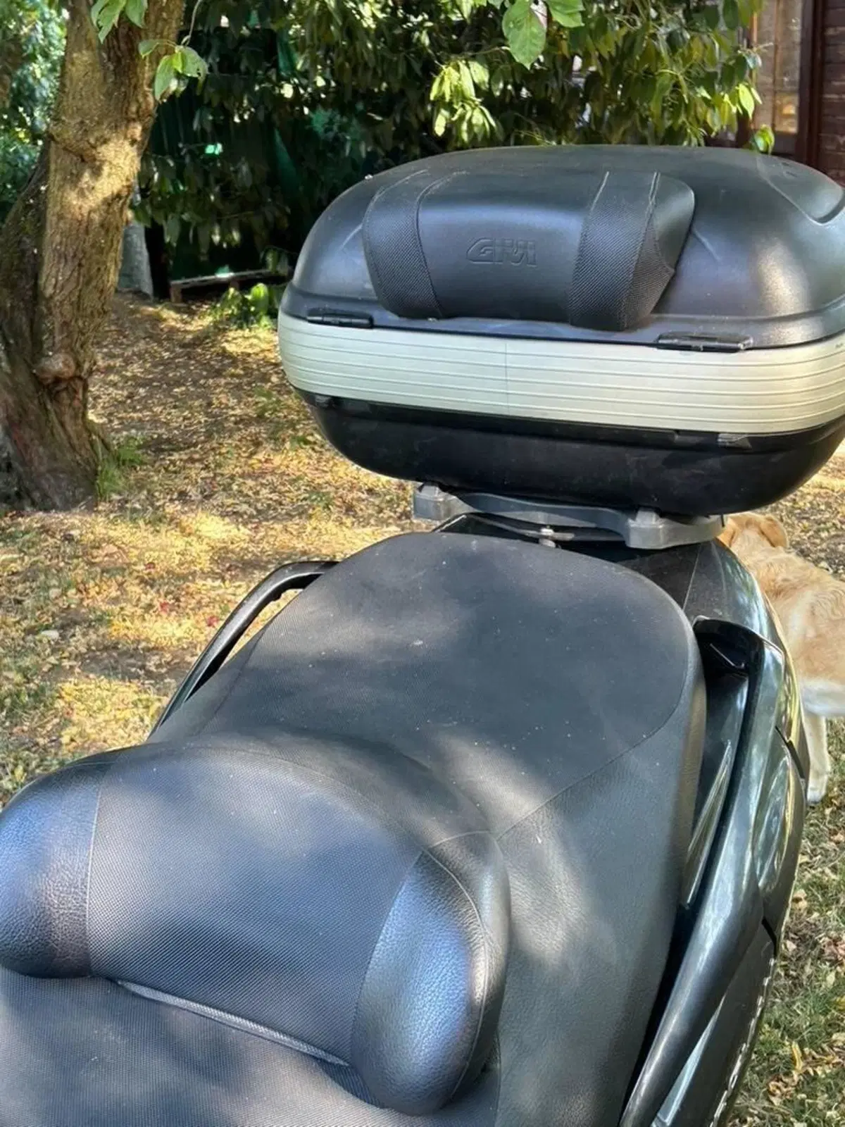 Suzuki Burgman AN 650 Executive ABS (2006 - 12) (9)