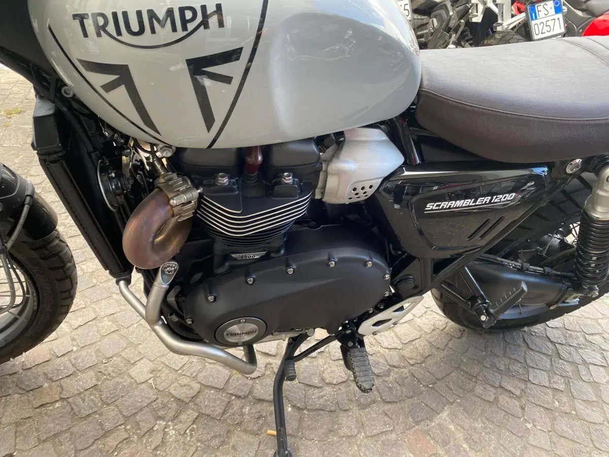 Triumph Scrambler 1200 X (2024 - 26) (9)