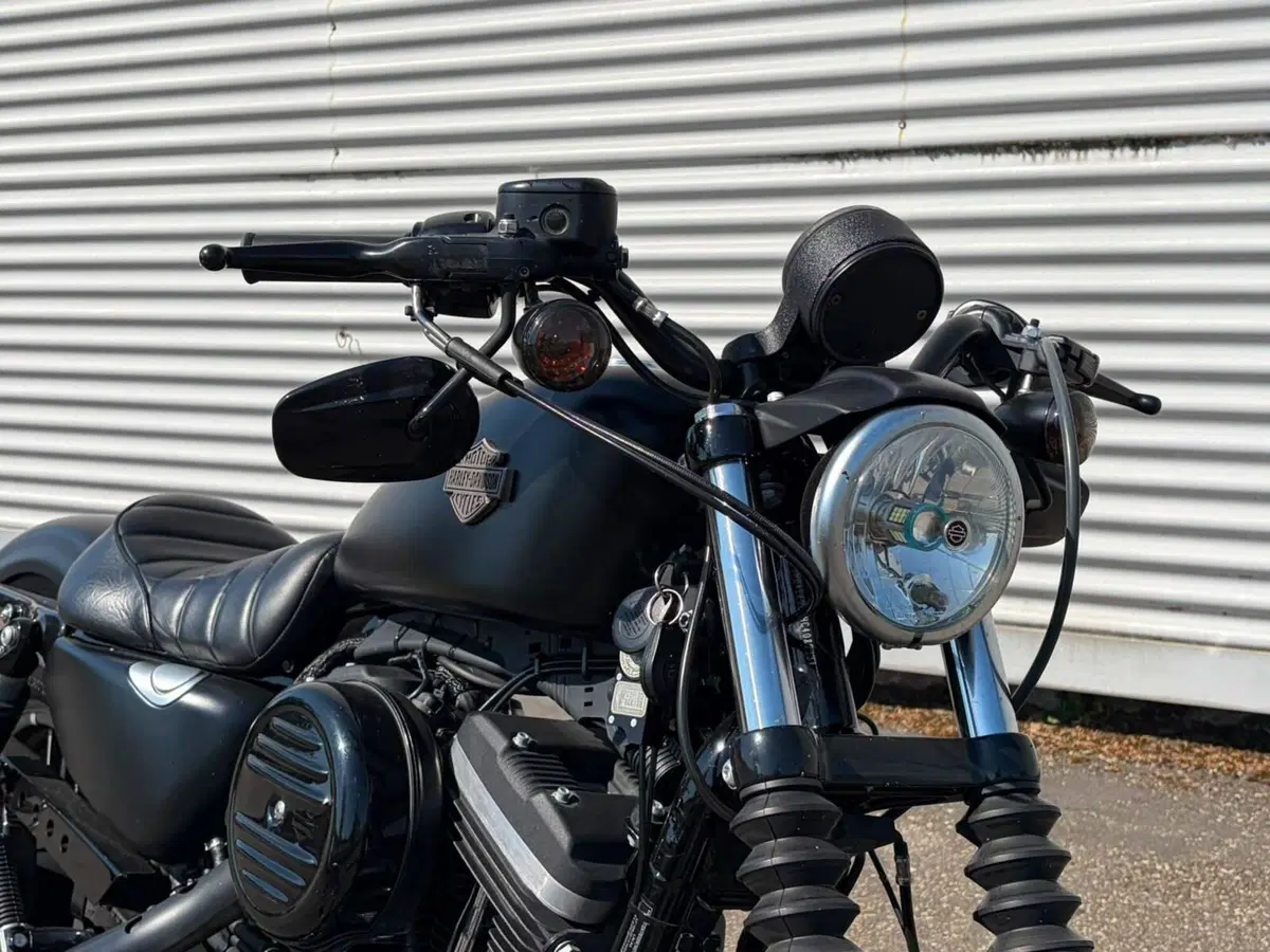 Harley-Davidson 883 Iron (2014 - 16) - XL 883N (6)