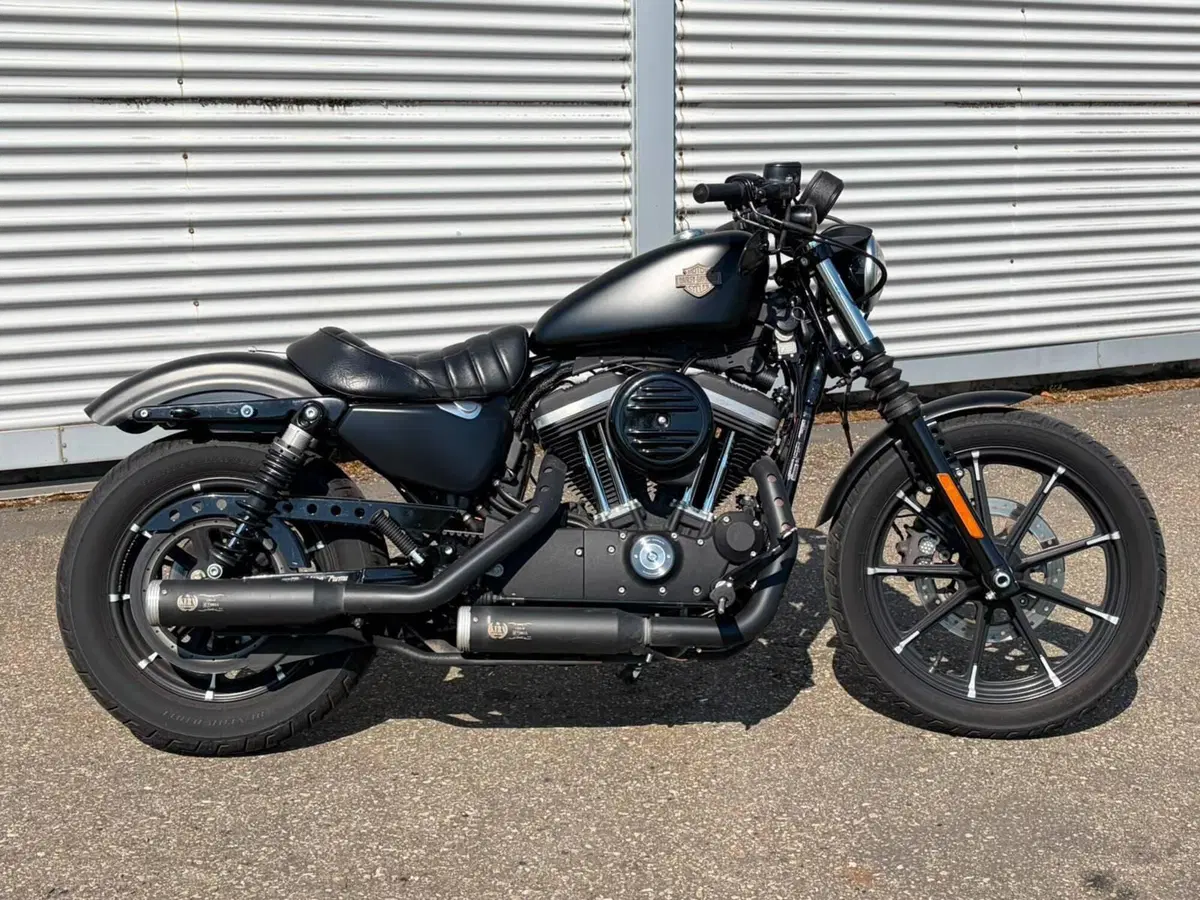 Harley-Davidson 883 Iron (2014 - 16) - XL 883N (16)