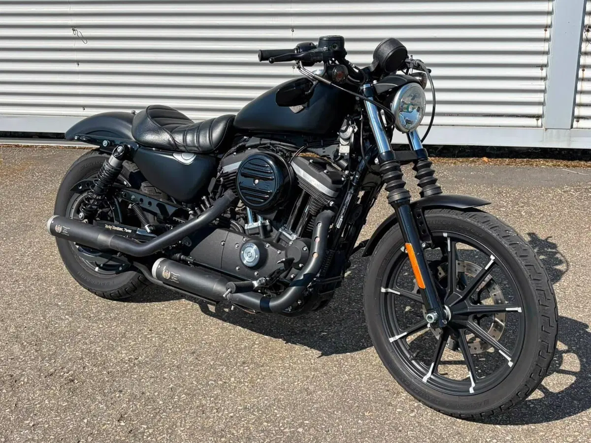 Harley-Davidson 883 Iron (2014 - 16) - XL 883N (10)