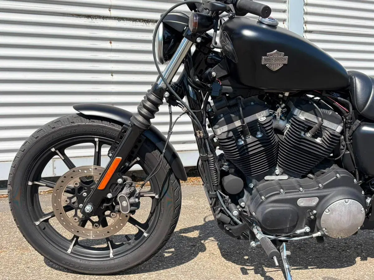 Harley-Davidson 883 Iron (2014 - 16) - XL 883N (12)