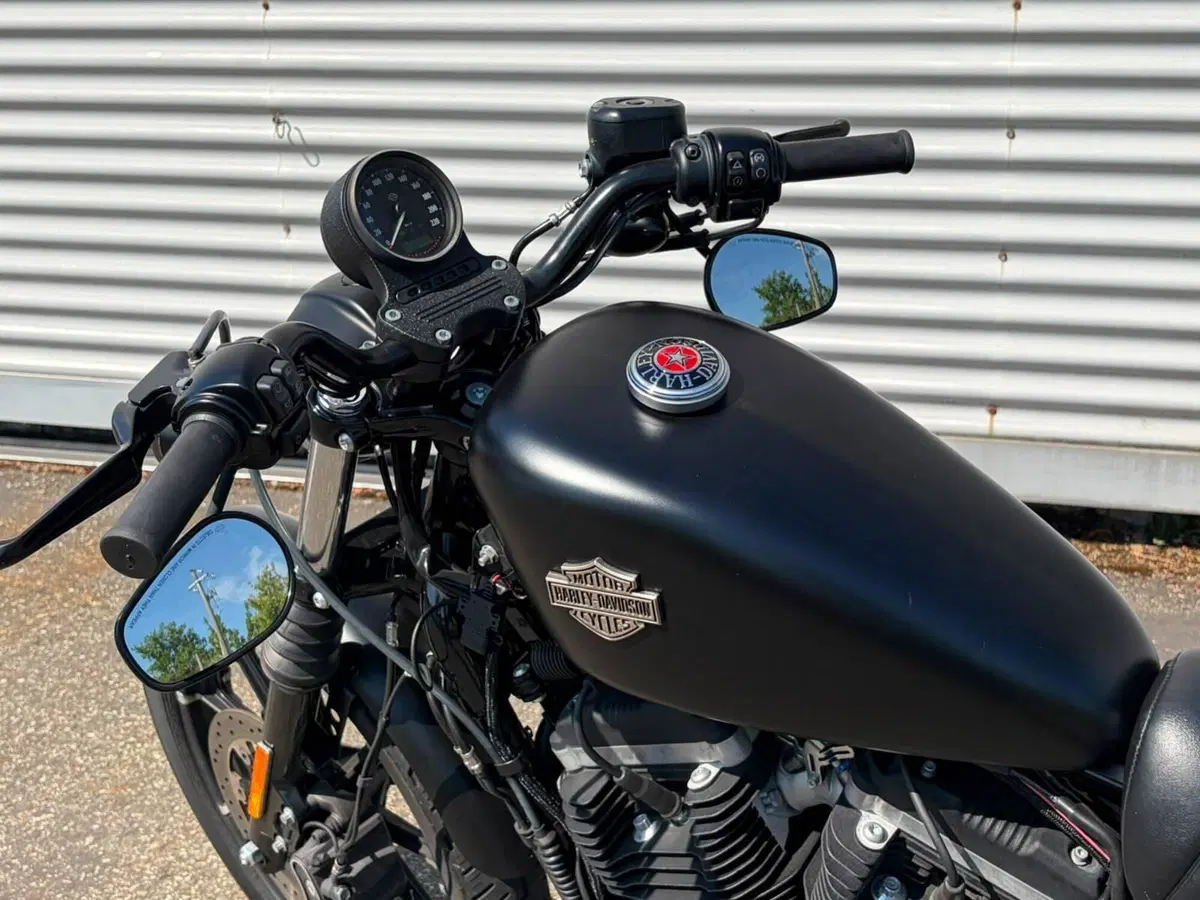 Harley-Davidson 883 Iron (2014 - 16) - XL 883N (14)