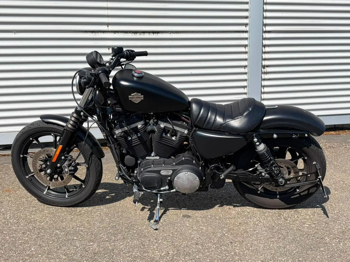 Harley-Davidson 883 Iron (2014 - 16) - XL 883N (17)