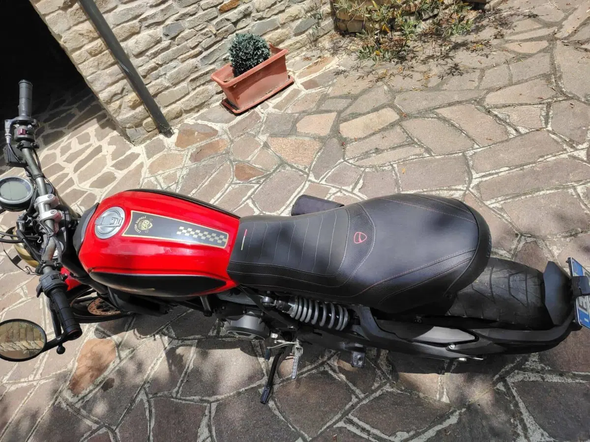 Ducati Scrambler 800 Icon (2015 - 16) (3)