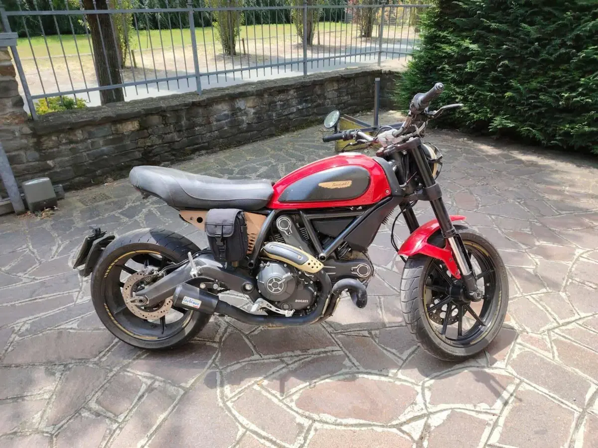 Ducati Scrambler 800 Icon (2015 - 16) (2)