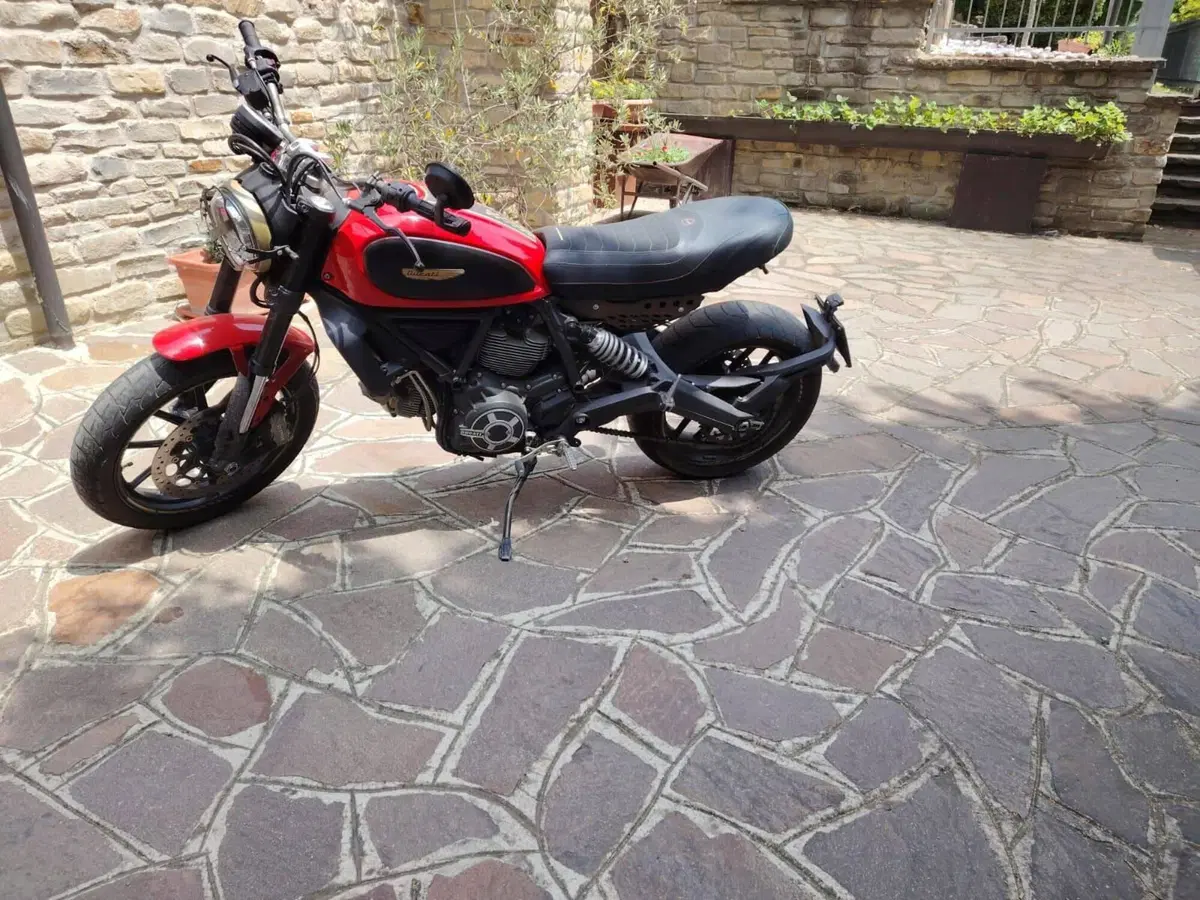 Ducati Scrambler 800 Icon (2015 - 16) (6)