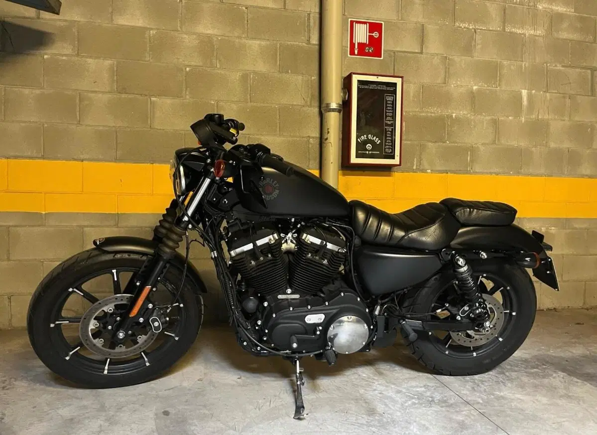 Harley-Davidson 883 Iron (2017 - 20) - XL 883N (2)