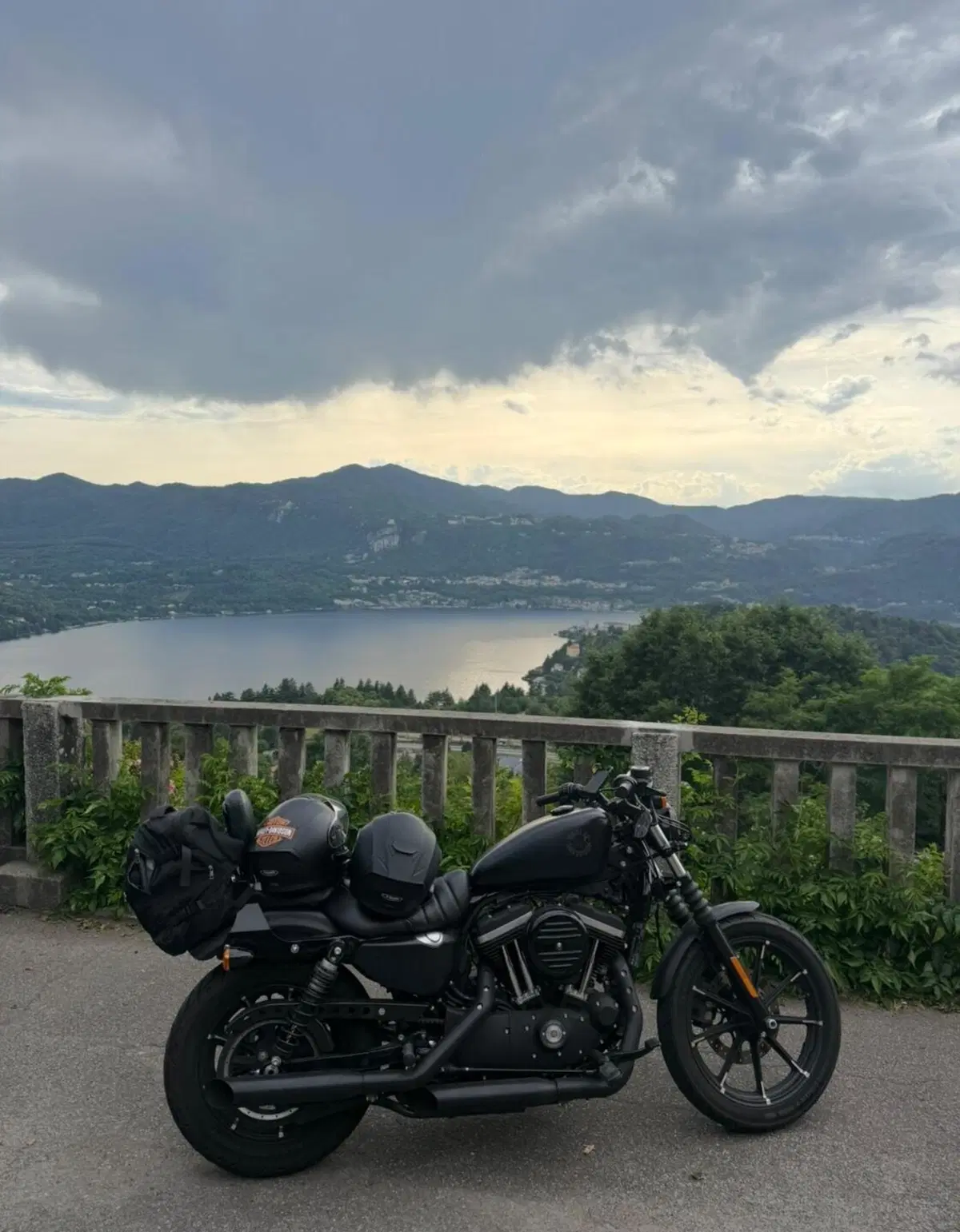 Harley-Davidson 883 Iron (2017 - 20) - XL 883N (7)