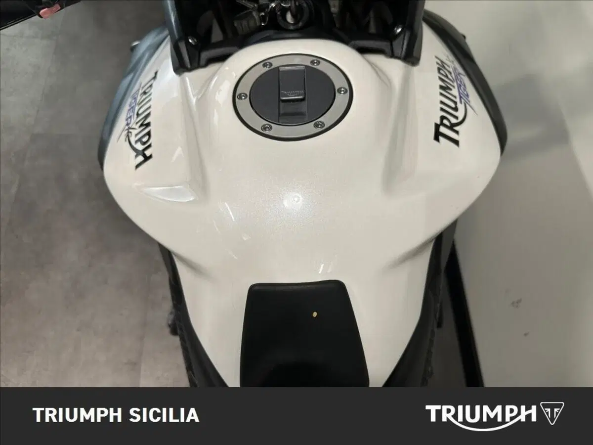 Triumph Tiger 800 XC ABS (2010 - 14) (11)