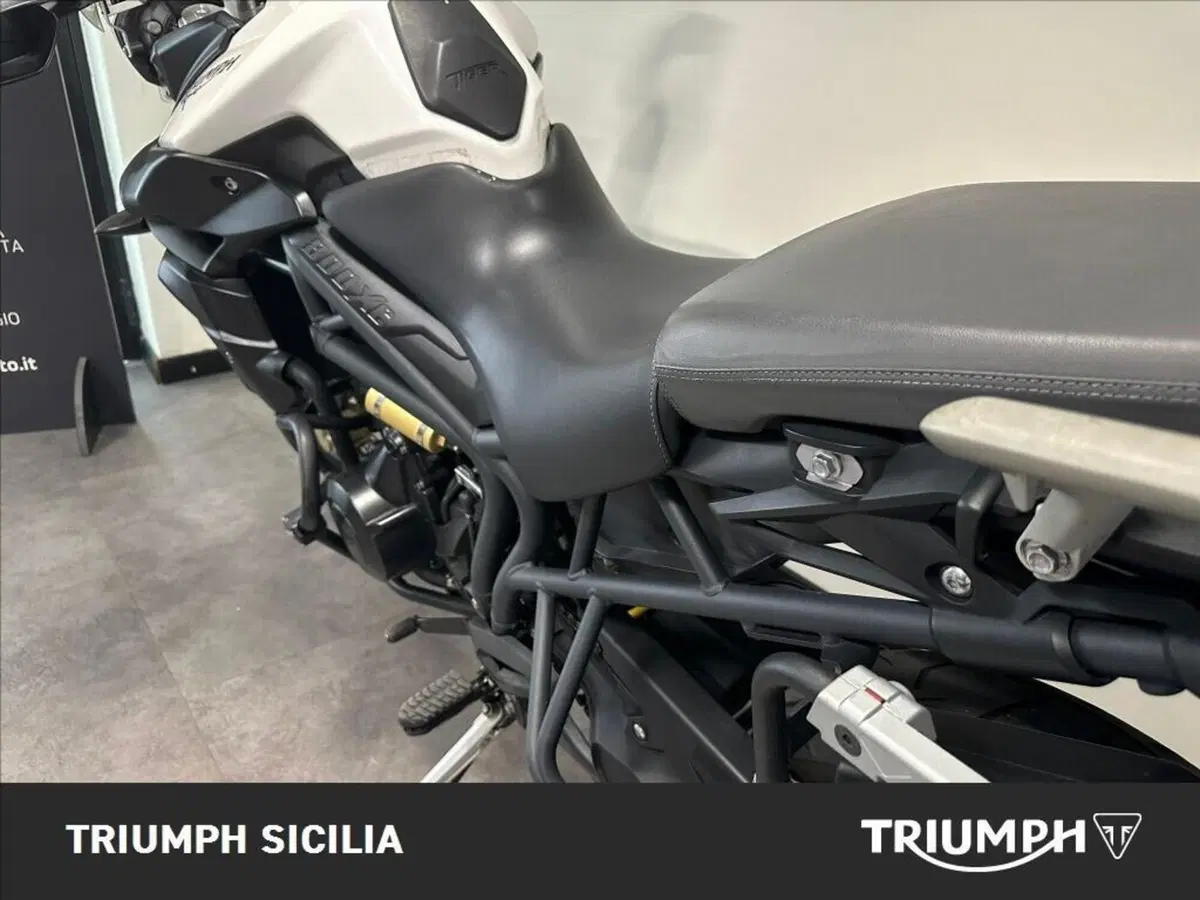 Triumph Tiger 800 XC ABS (2010 - 14) (16)