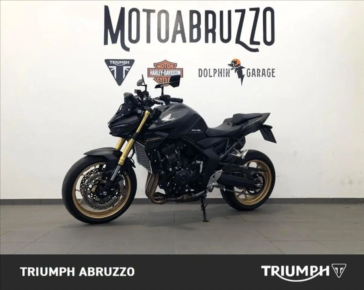 Honda CB 1000 Hornet SP (2025 - 26) (17)