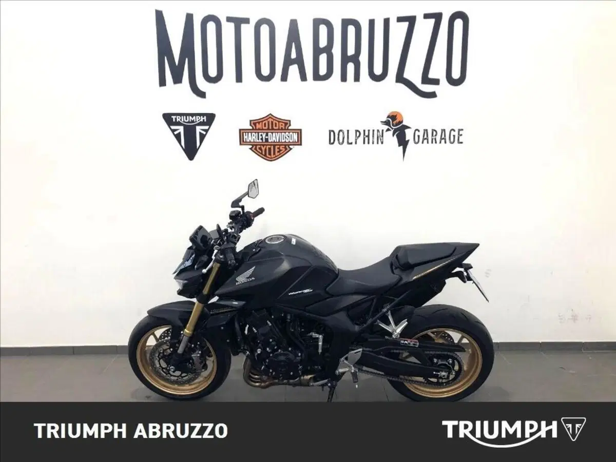 Honda CB 1000 Hornet SP (2025 - 26) (19)