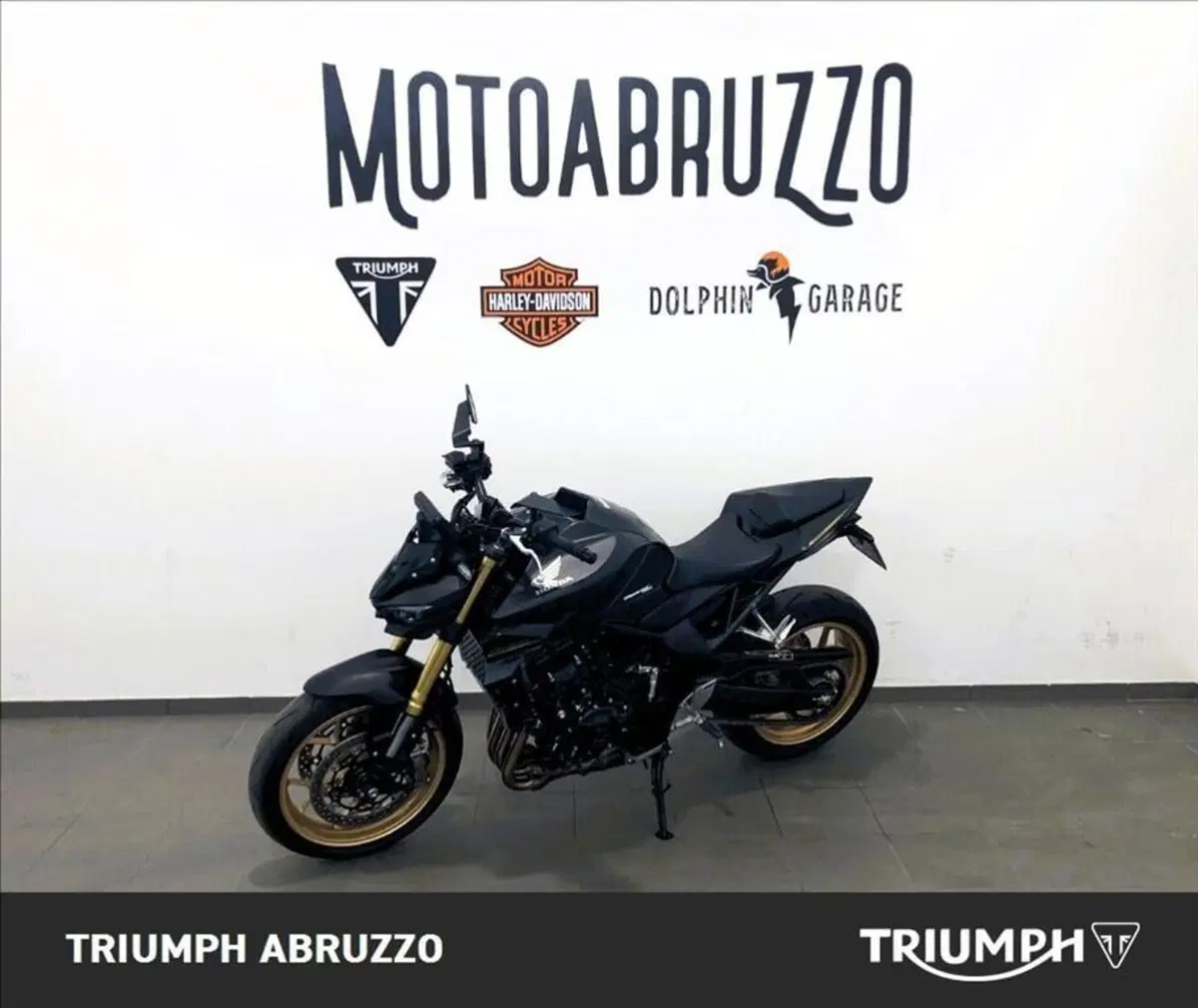 Honda CB 1000 Hornet SP (2025 - 26) (16)