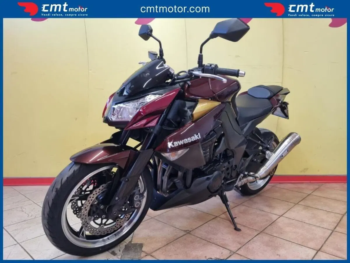 Kawasaki Z 1000 (2010 - 13) (4)