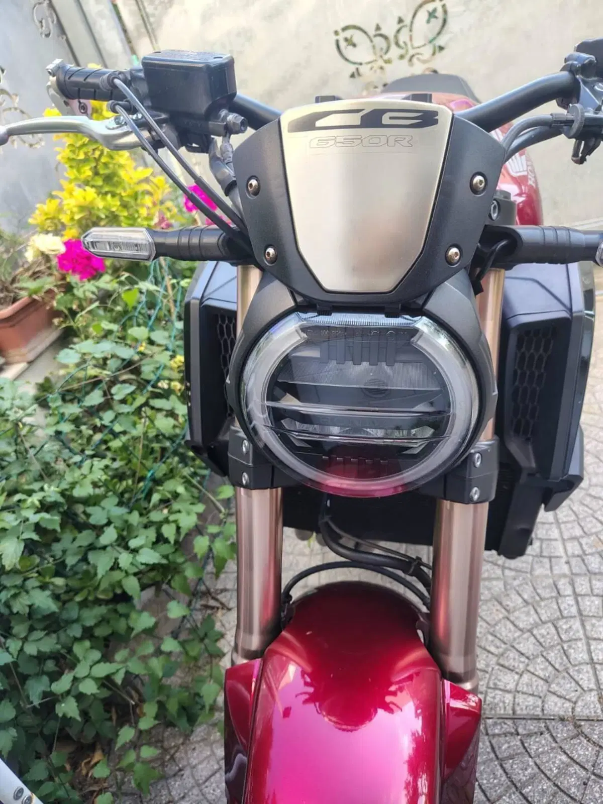 Honda CB 650 R (2021 - 23) (5)