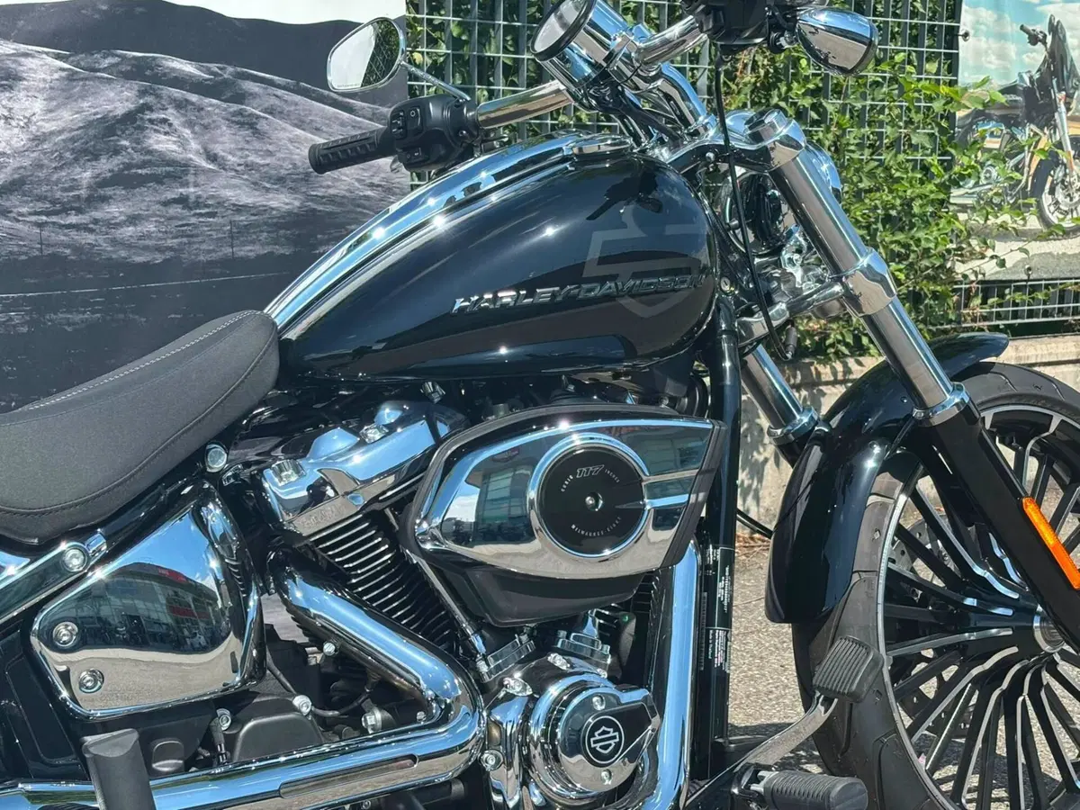 Harley-Davidson Breakout 117 (2025 - 26) (5)