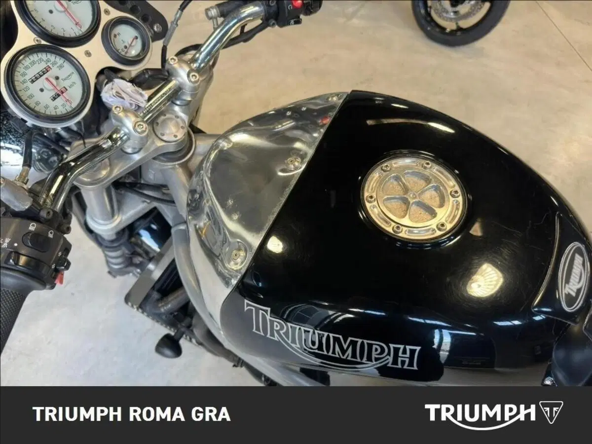Triumph Speed Triple 955 (1998 - 01) (15)