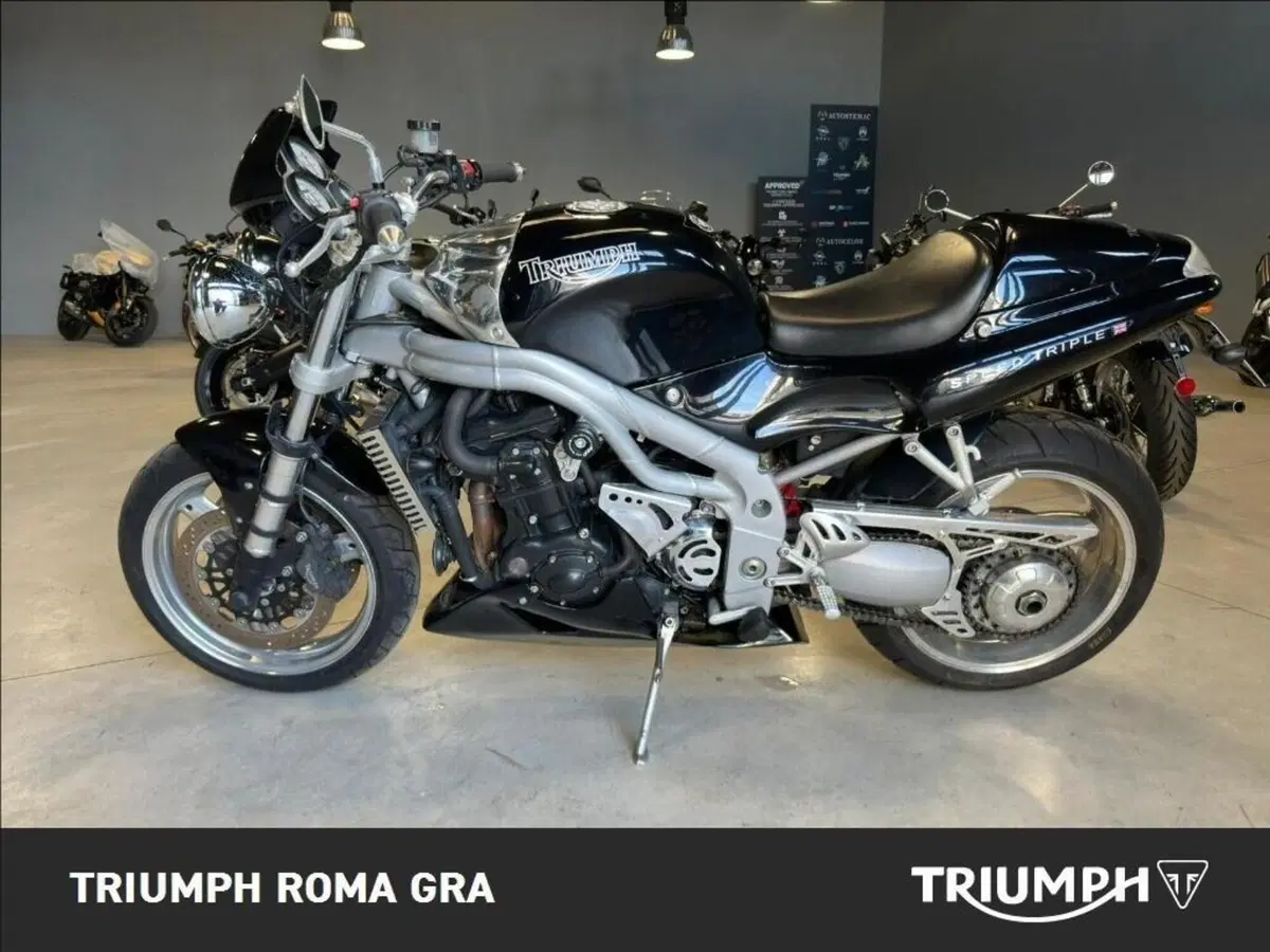 Triumph Speed Triple 955 (1998 - 01) (3)