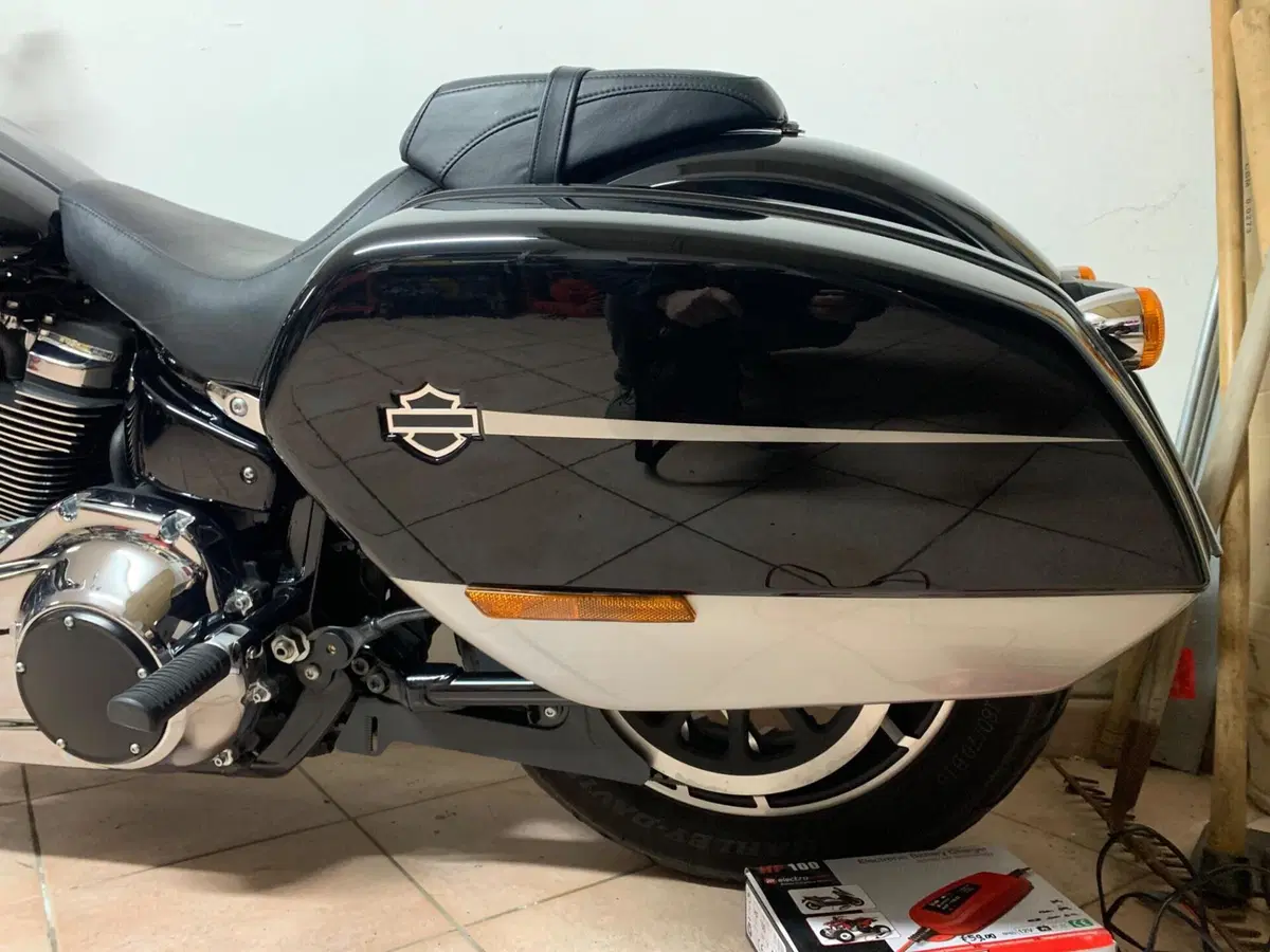 Harley-Davidson 107 Sport Glide (2018 - 20) (2)