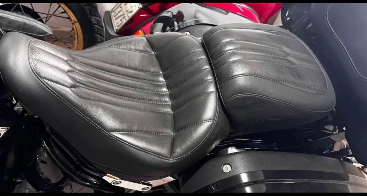 Harley-Davidson 107 Sport Glide (2018 - 20) (6)