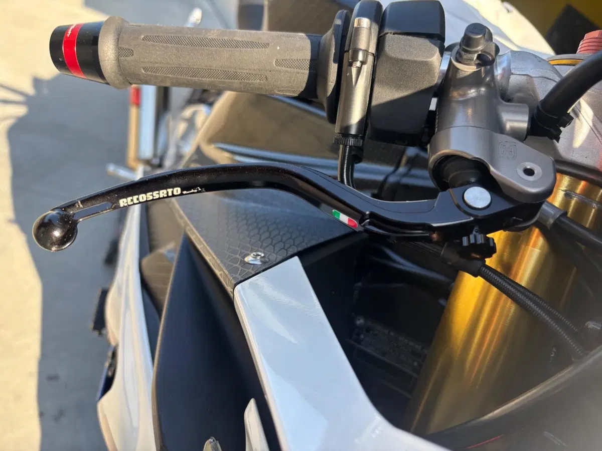 Bmw S 1000 RR (2012 - 14) (8)