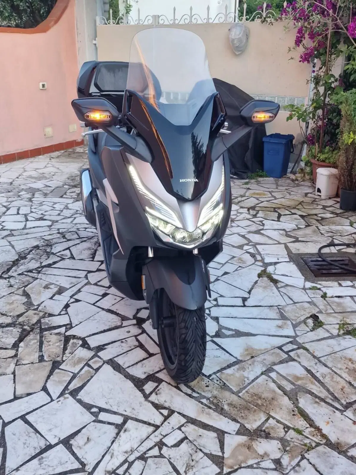 Honda Forza 300 Deluxe ABS (2018 - 20) (3)