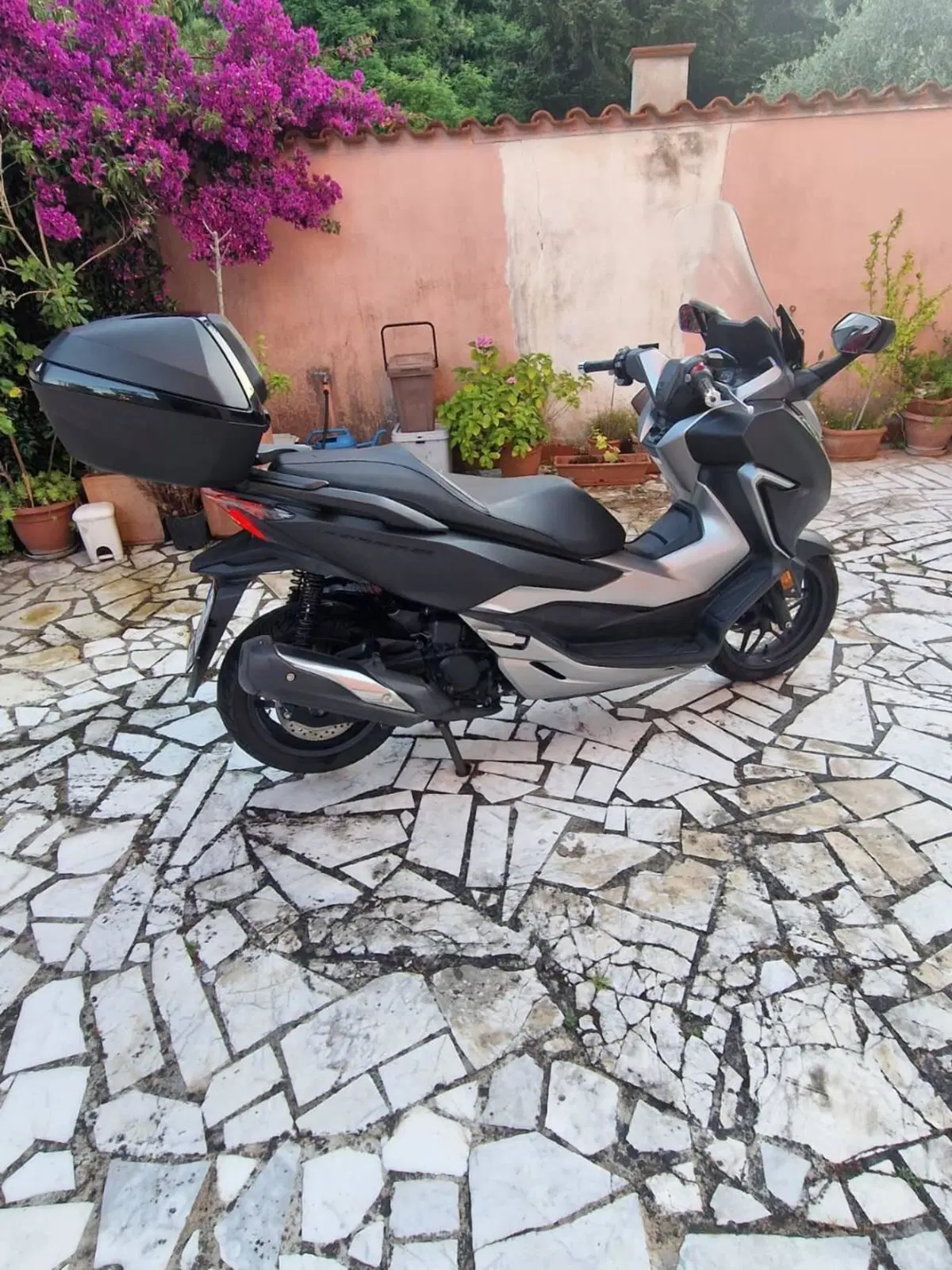 Honda Forza 300 Deluxe ABS (2018 - 20) (4)