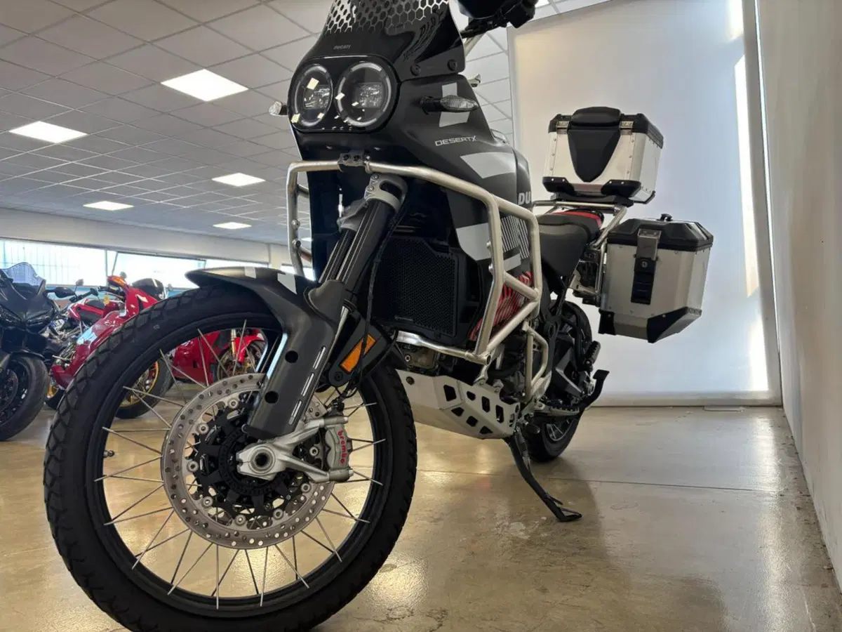 Ducati DesertX (2022 - 25) (2)