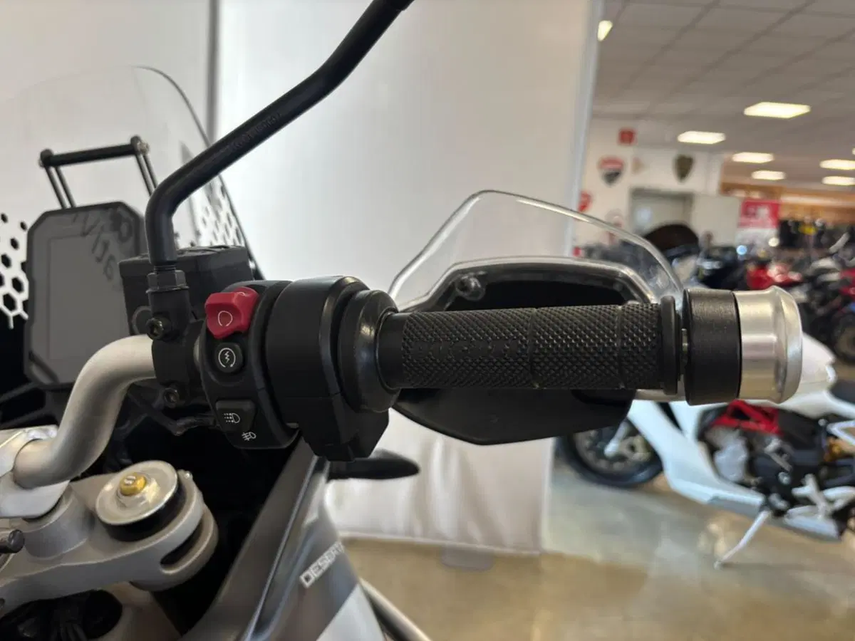 Ducati DesertX (2022 - 25) (11)