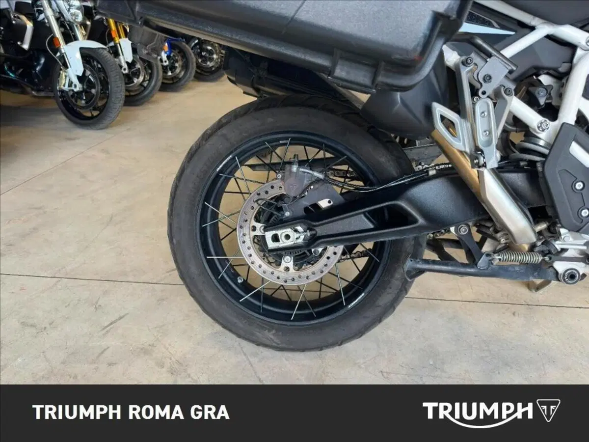 Triumph Tiger 900 Rally Pro (2024 - 26) (5)