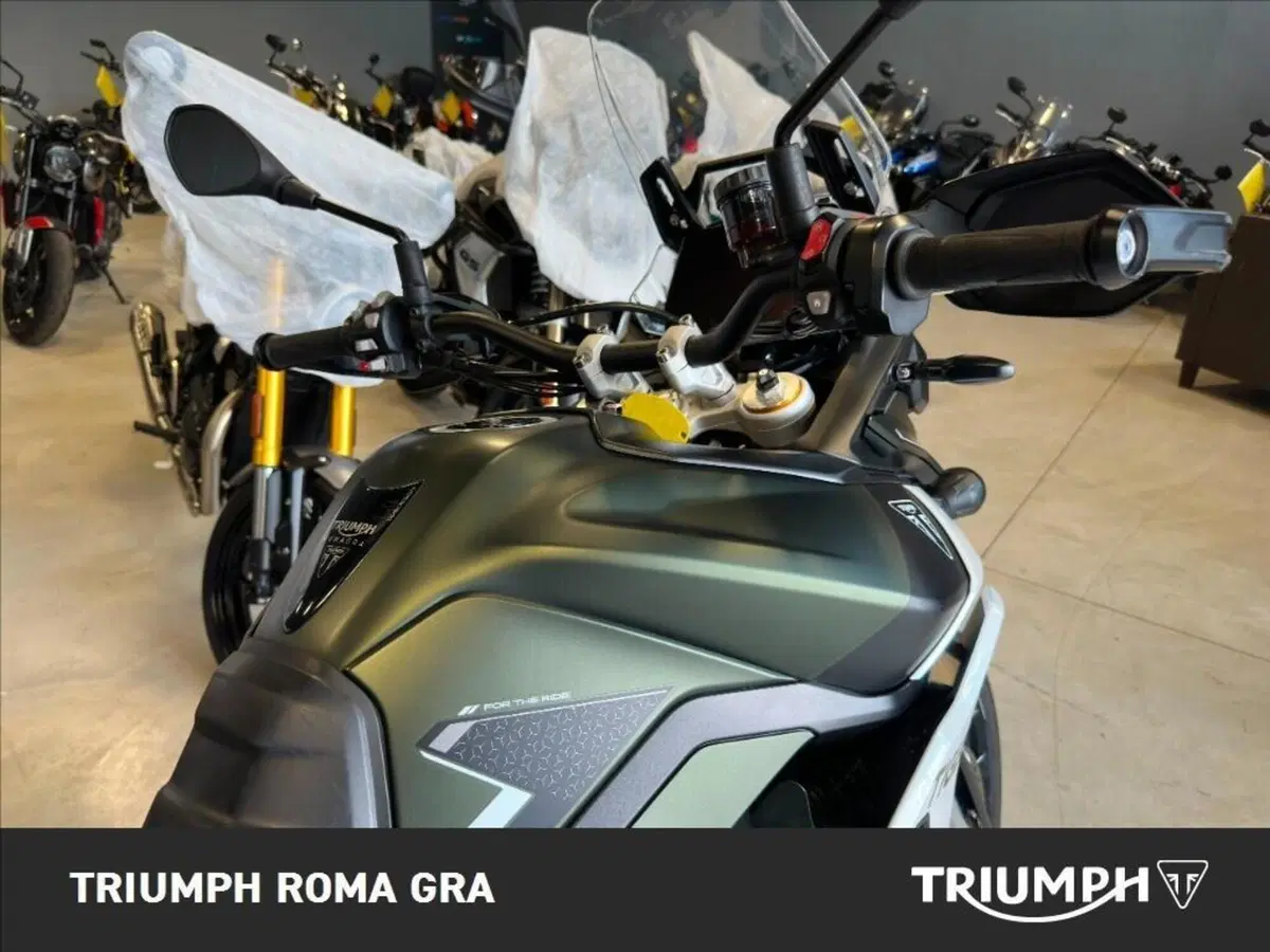 Triumph Tiger 900 Rally Pro (2024 - 26) (17)