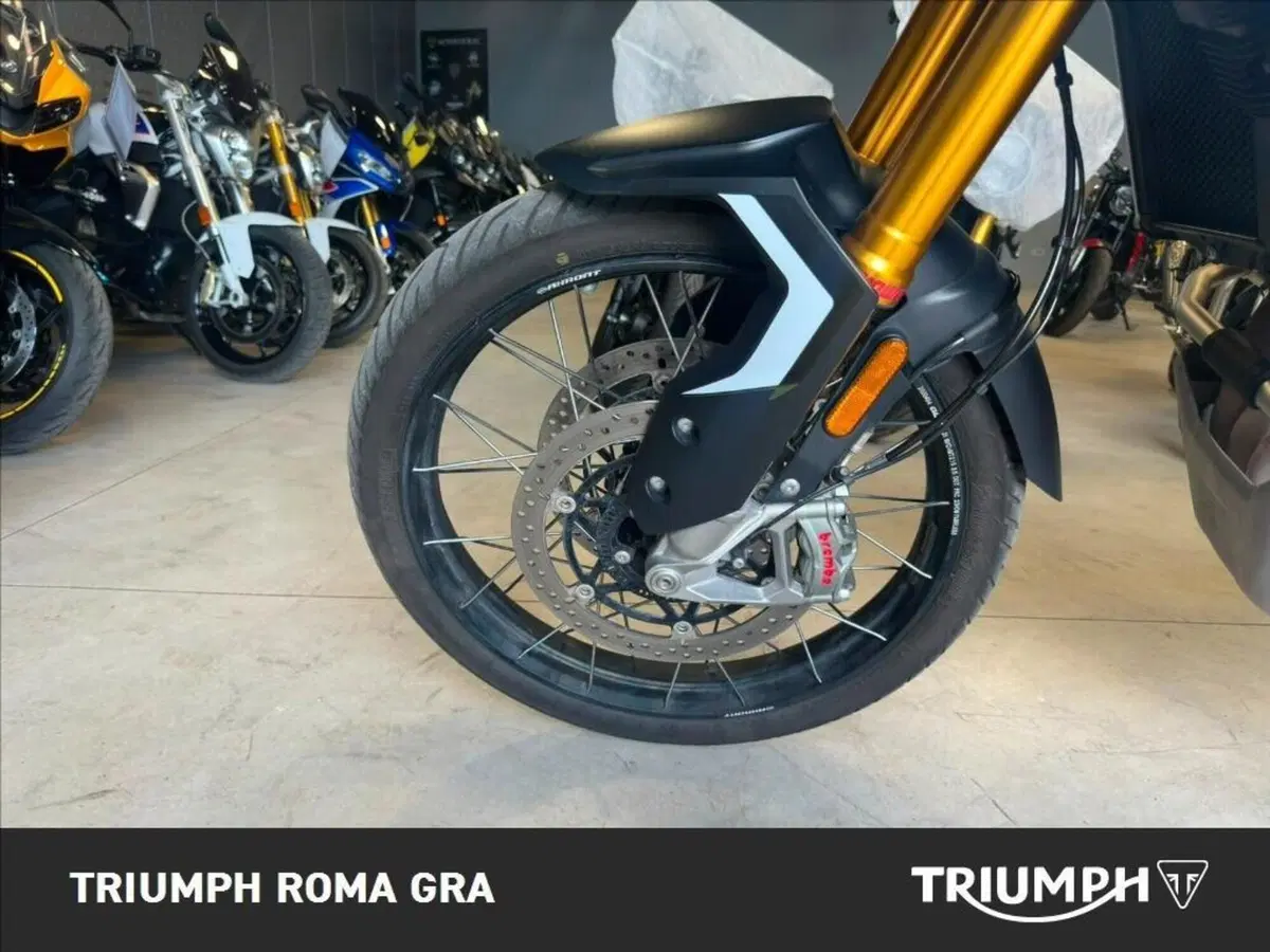 Triumph Tiger 900 Rally Pro (2024 - 26) (9)