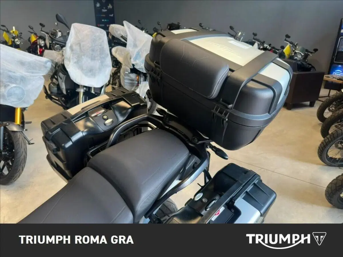 Triumph Tiger 900 Rally Pro (2024 - 26) (13)