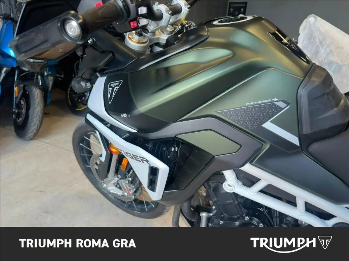 Triumph Tiger 900 Rally Pro (2024 - 26) (18)