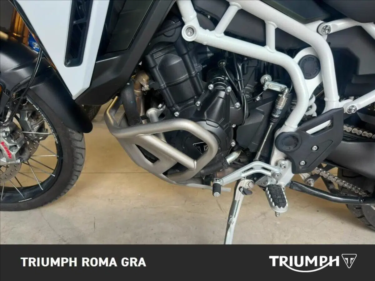 Triumph Tiger 900 Rally Pro (2024 - 26) (10)