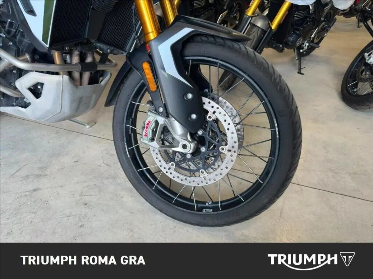 Triumph Tiger 900 Rally Pro (2024 - 26) (7)
