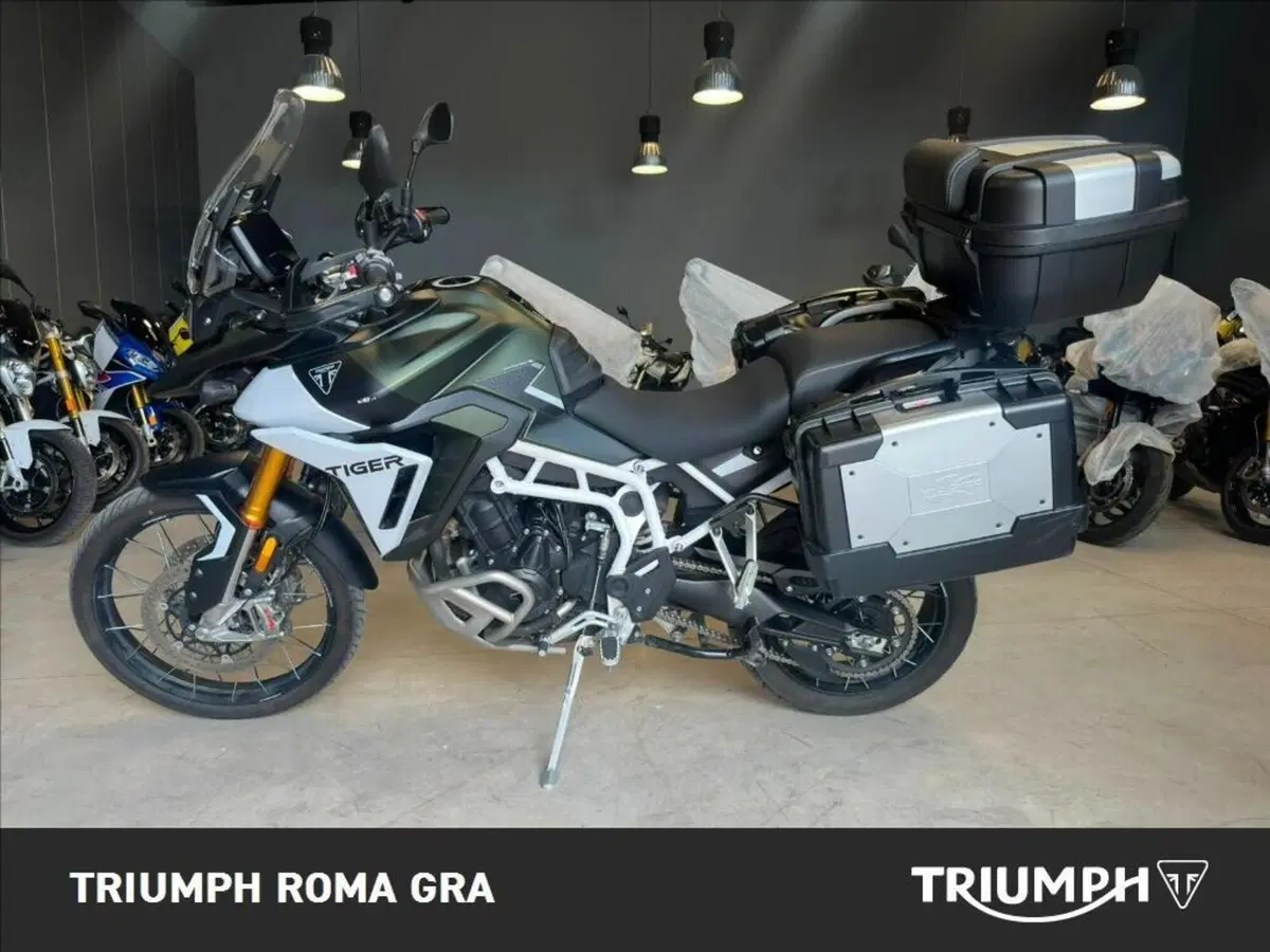 Triumph Tiger 900 Rally Pro (2024 - 26) (3)
