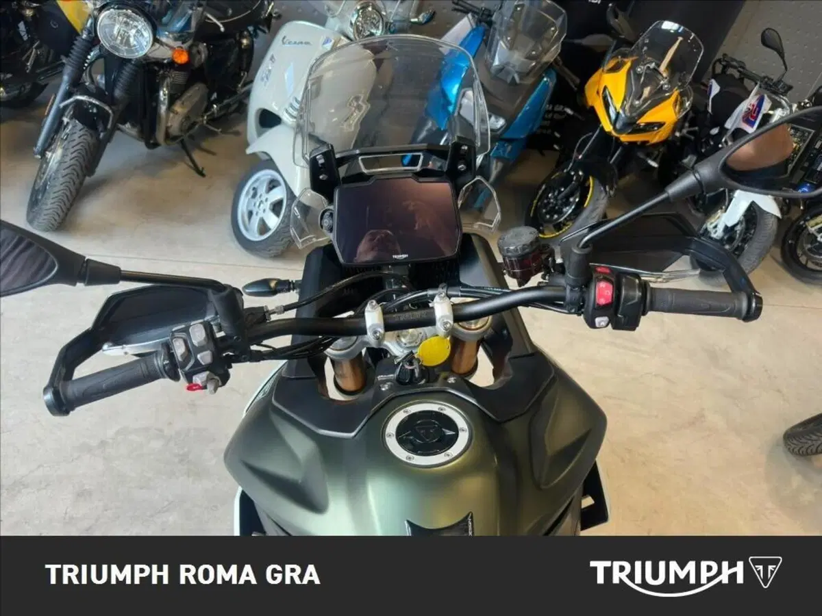 Triumph Tiger 900 Rally Pro (2024 - 26) (19)