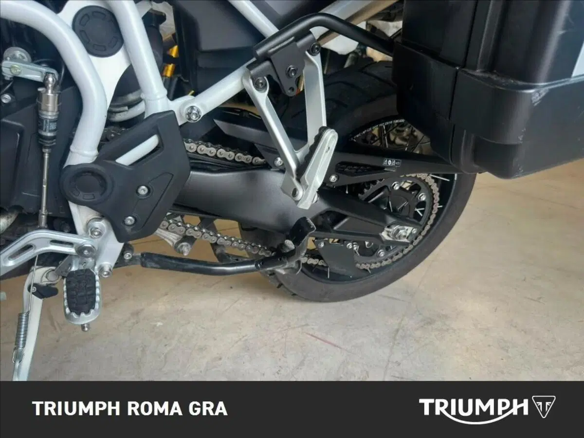 Triumph Tiger 900 Rally Pro (2024 - 26) (11)